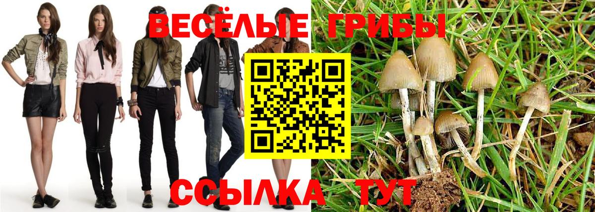 Псилоцибиновые грибы Cubensis Кушва